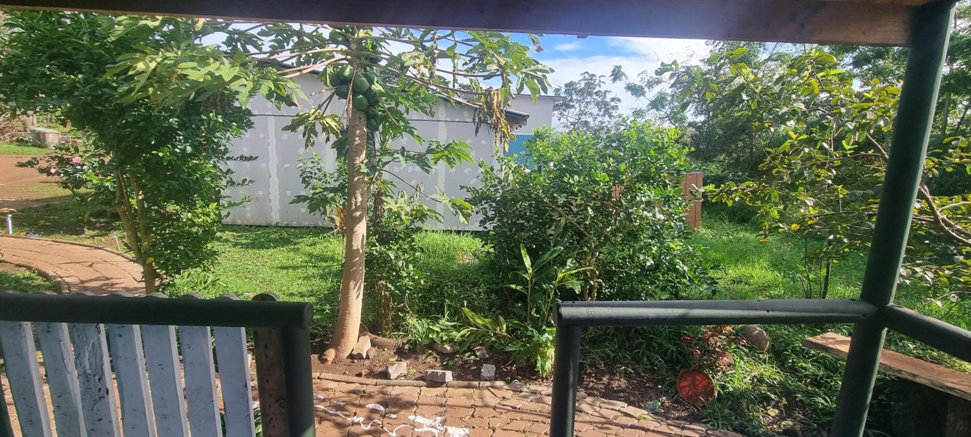 Hostal Henua Roa Hanga Roa Exterior foto